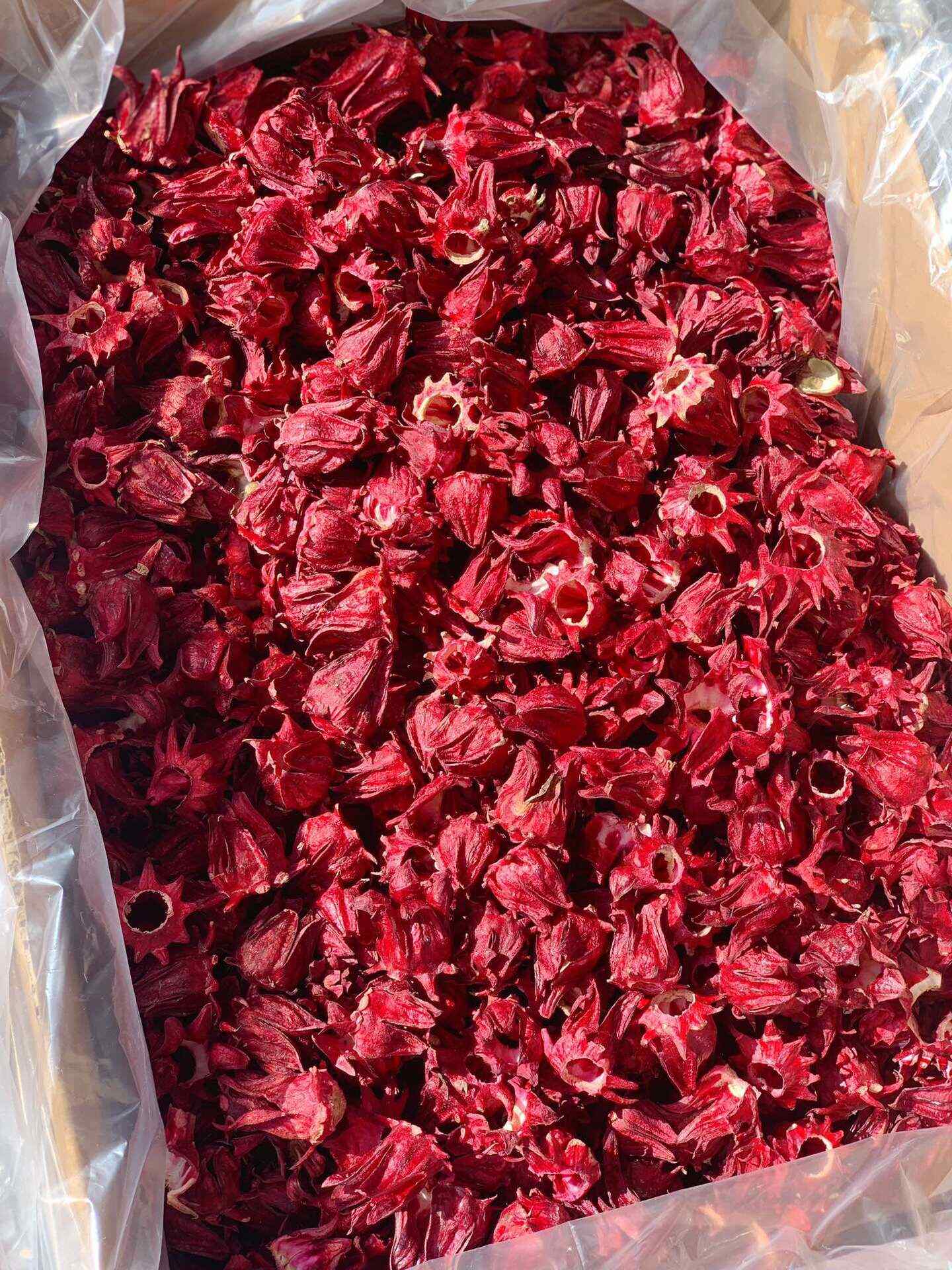 冻干洛神花大朵96g大罐装云南特产玫瑰茄母亲节花茶冷泡花果茶