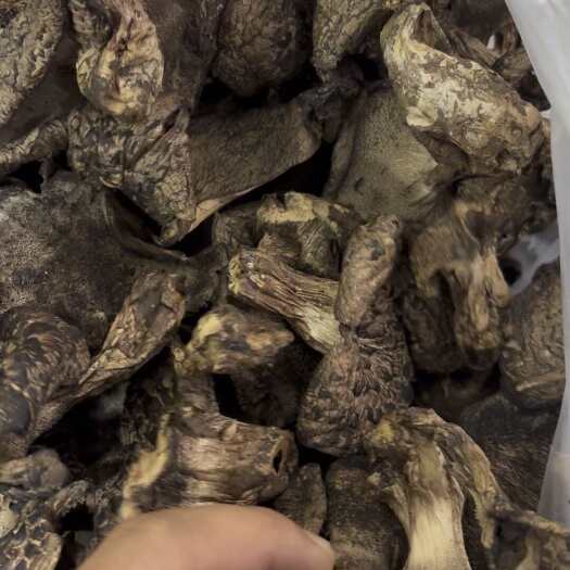 洛隆县西藏昌都洛隆县产地直发 虎掌菌干货 食用菌类蔬菜农产品