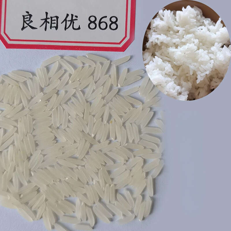 良相优868浓香型水稻种子