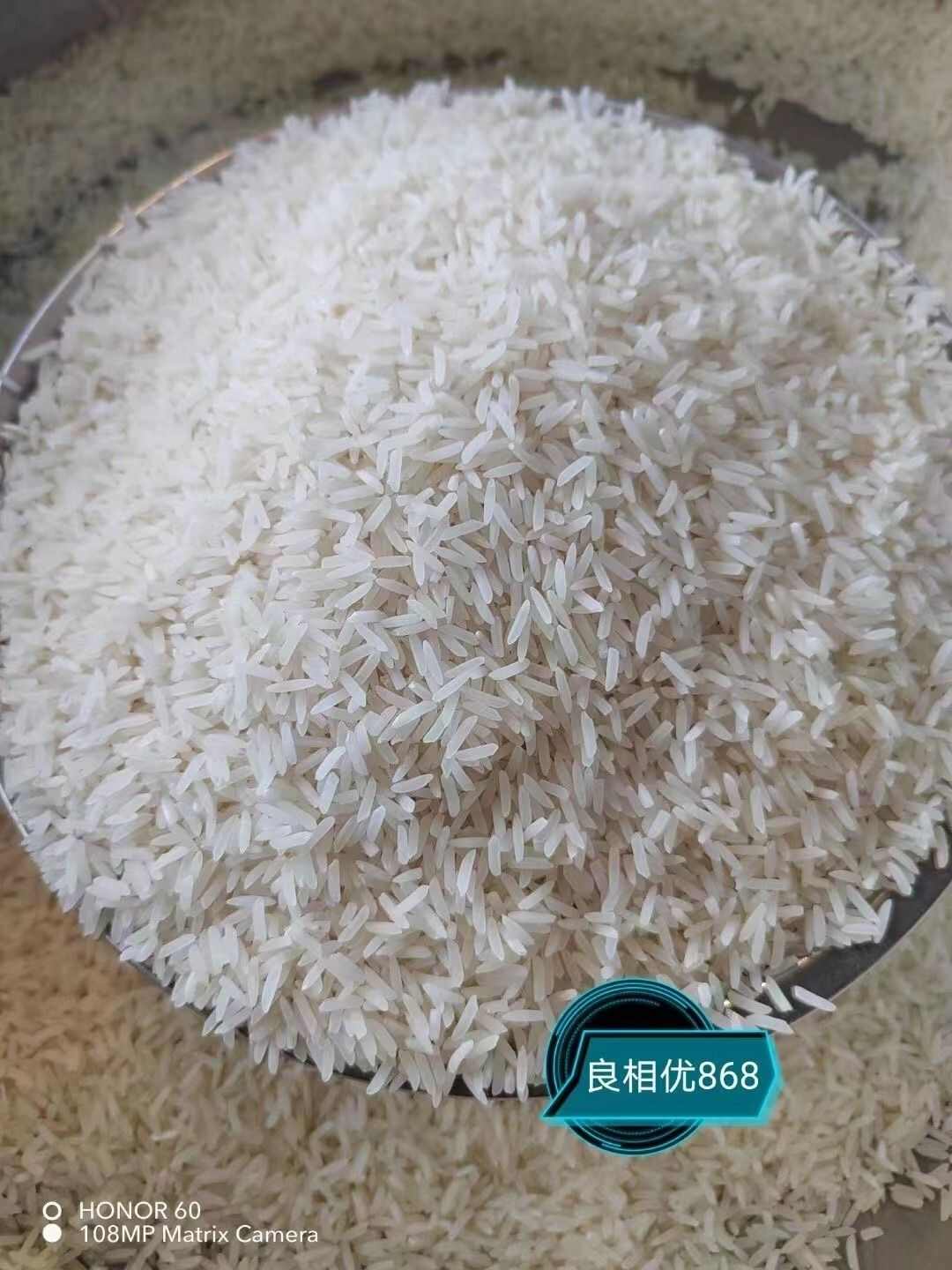 良相优868浓香型水稻种子