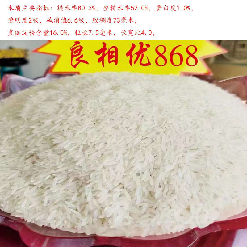 良相优868浓香型水稻种子