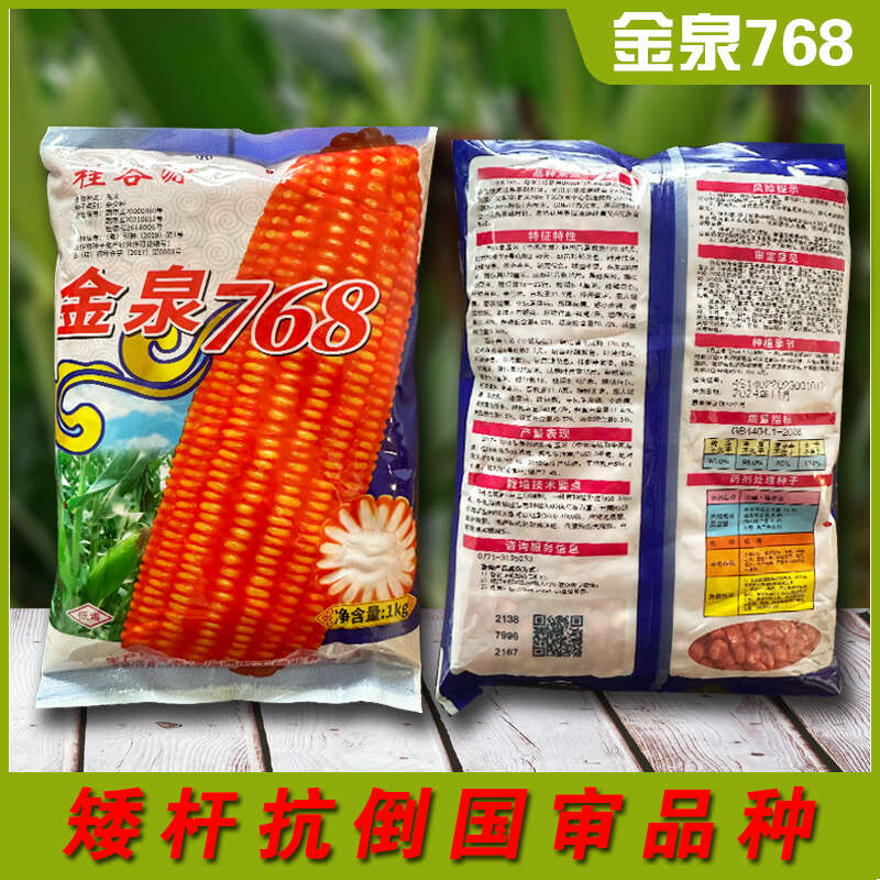 金泉768双国审热区玉米种子