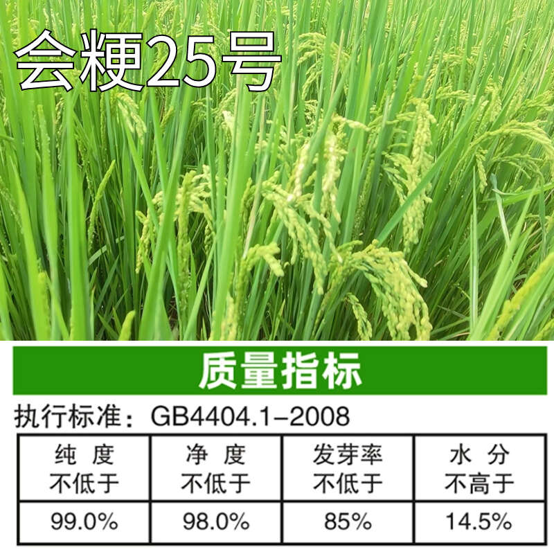 会粳25号高海拔常规稻水稻种子