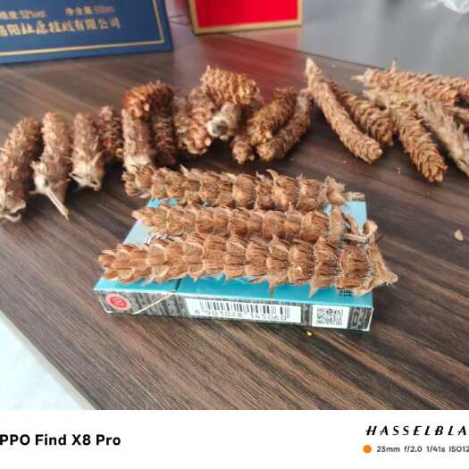 确山县【厂家直销】夏枯草  全草，品质保障，欢迎咨询，量大价优