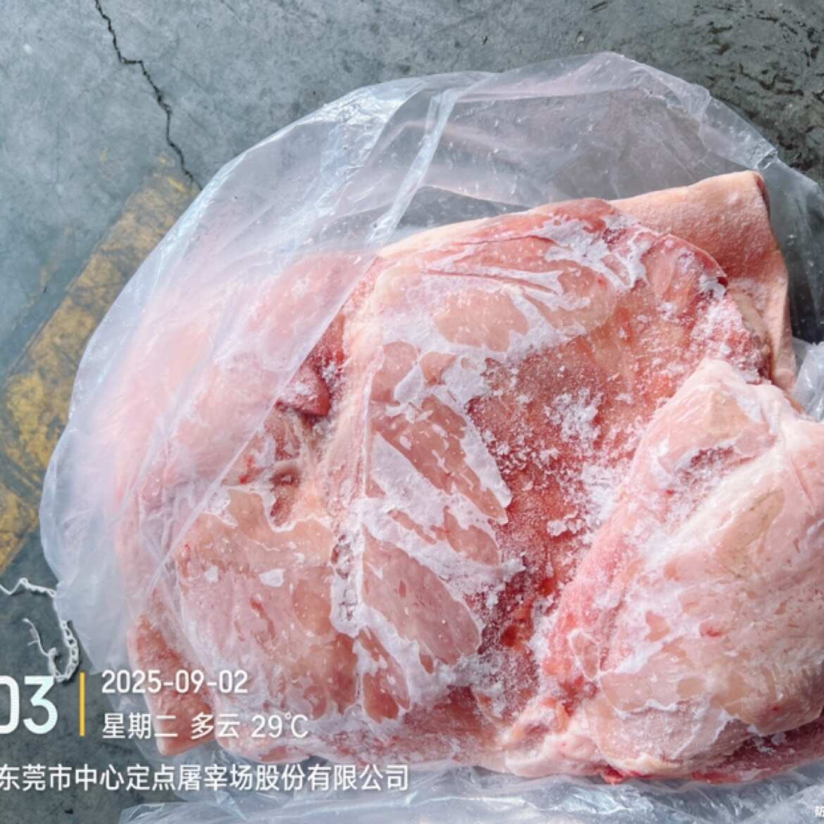 前上肉新货长期有货