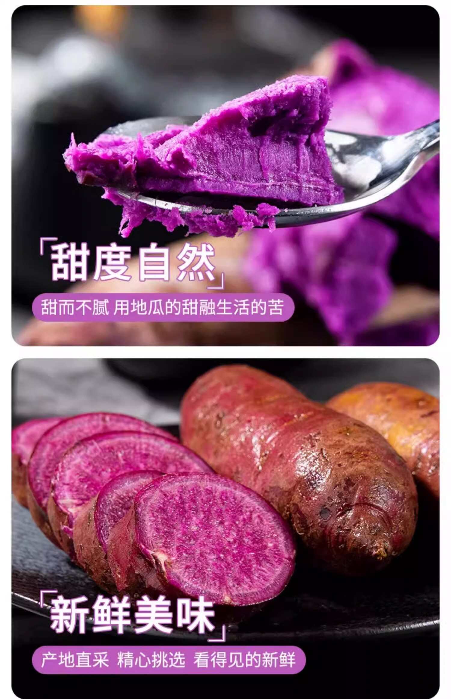 紫薯新鲜现挖农家自种沙地紫罗兰