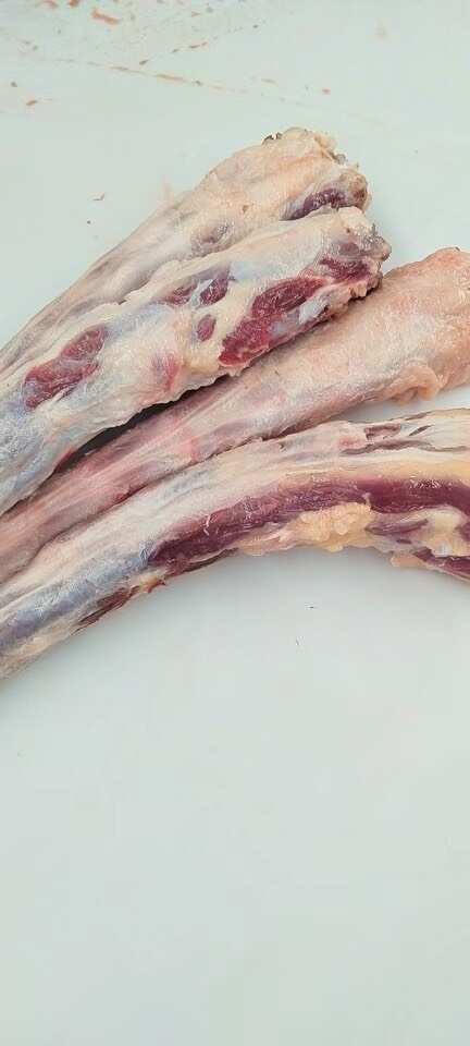 牛尾巴。 山东阳信牛尾 批发供应 多种运输方式