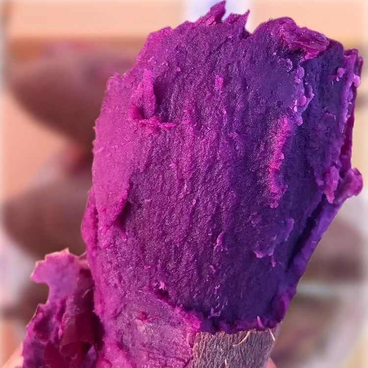 紫薯新鲜现挖农家自种沙地紫罗兰