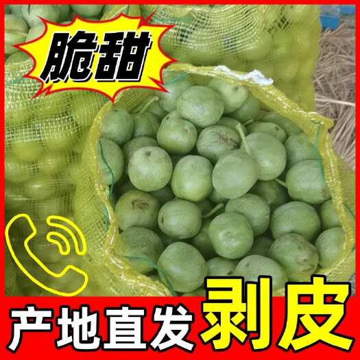 【推荐】山西青皮核桃,剥皮新品,金博丰早熟礼品2号