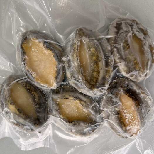 平潭县原壳带肚鲍鱼 水产贝类食品工艺