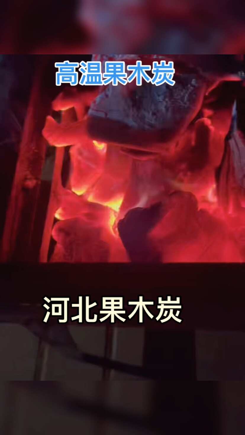 高温果木炭