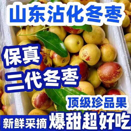 滨州山东沾化冬枣 鲜枣 对接各大电商平台 直播带货 专业一件代发