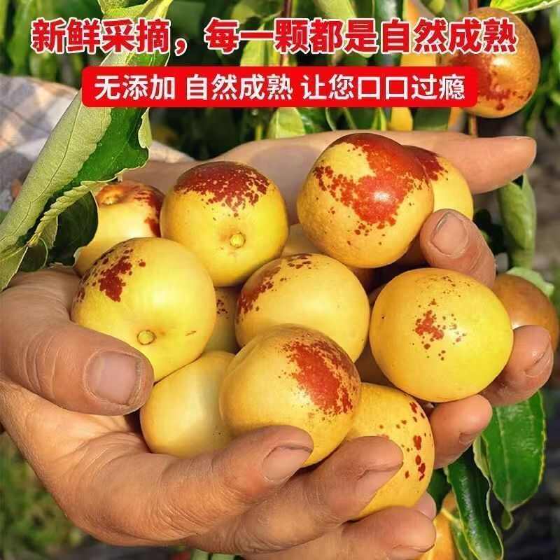 山东冬枣，专业对接社区电商平台，网红爆品，我在产地等你