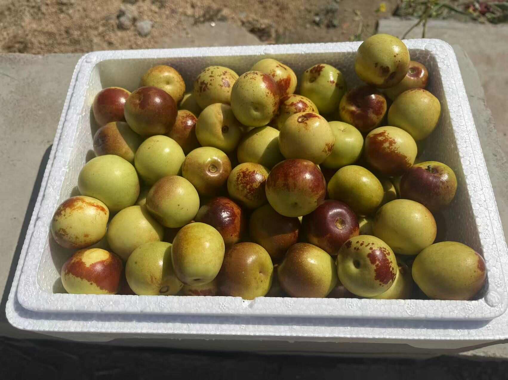 山东冬枣，专业对接社区电商平台，网红爆品，我在产地等你