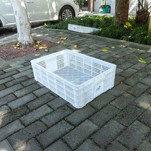 重庆市加厚生鲜配送蔬菜水果塑料筐果筐周转筐小龙虾带铁耳菜萝
