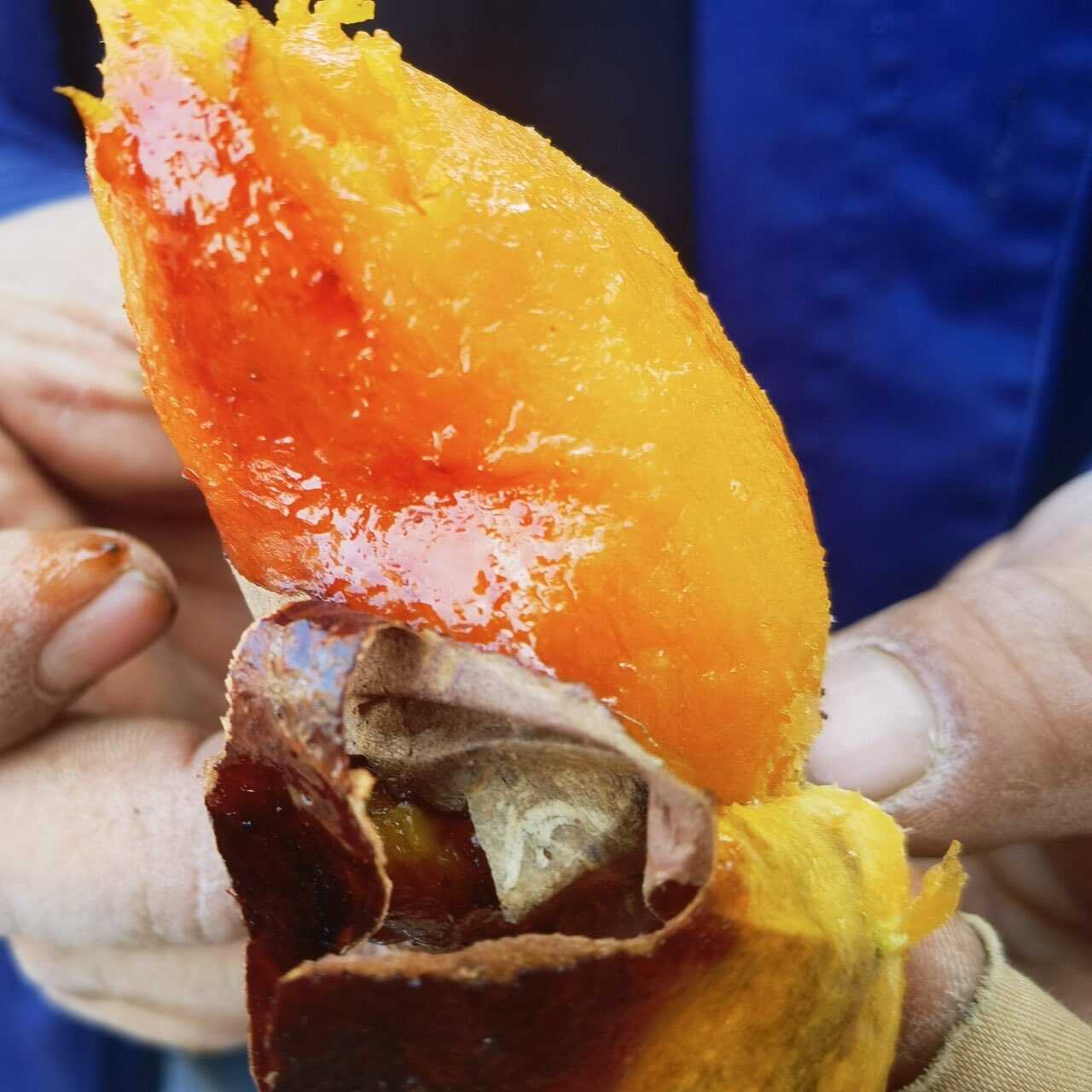 湖北产地直发，红薯蜜薯，25年大量上市，欢迎咨询看货