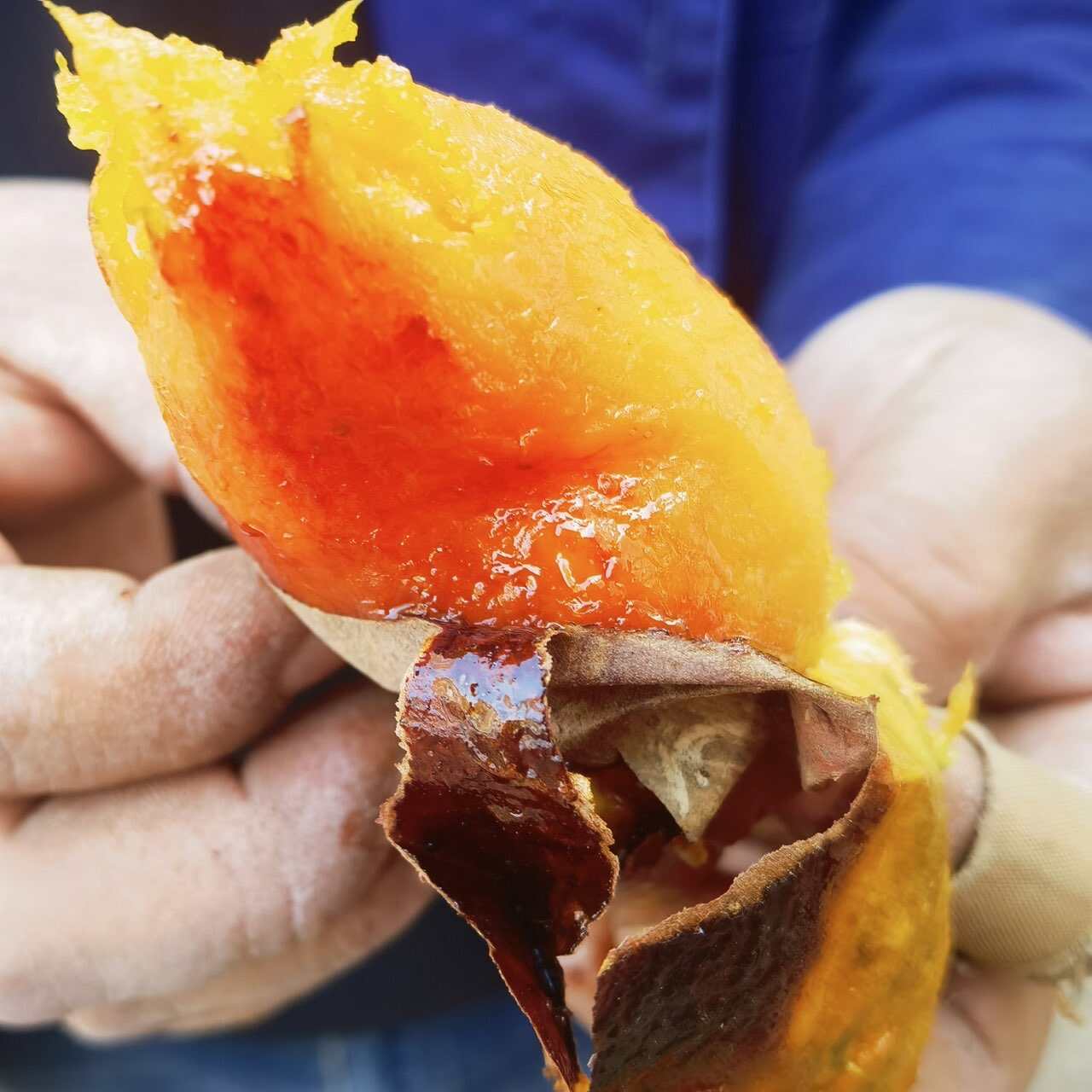 湖北产地直发，红薯蜜薯，25年大量上市，欢迎咨询看货