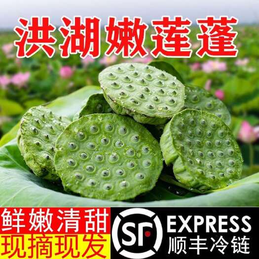 洪湖市2025年洪湖新鲜嫩莲蓬可生吃水果现摘带芯莲子清脆甜