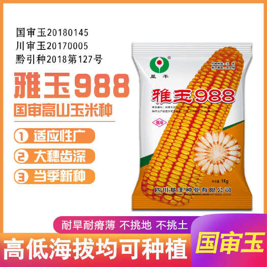 雅玉988国审玉米种子厂家直销