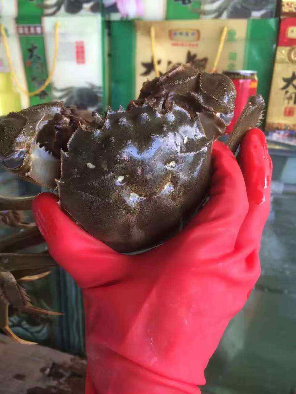 湖北洪湖产地直发大闸蟹，25年新货大量上市，欢迎咨询联系