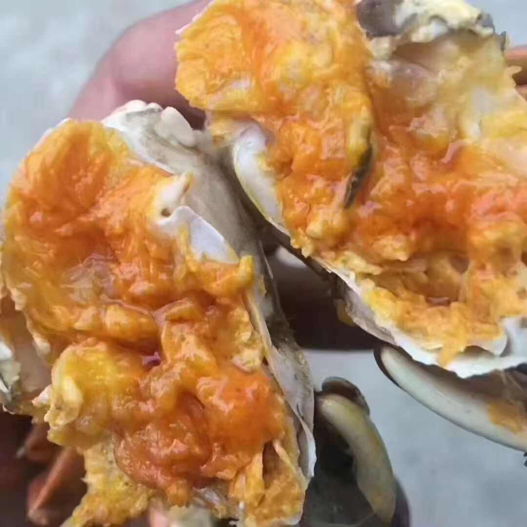 湖北洪湖产地直发大闸蟹，25年新货大量上市，欢迎咨询联系