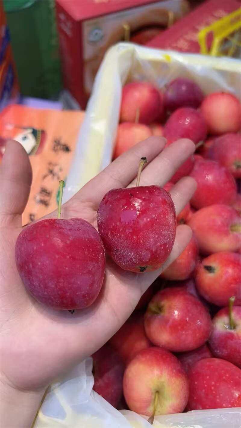 海棠果，畅销全国，基地直发，欢迎对接，联系我看货