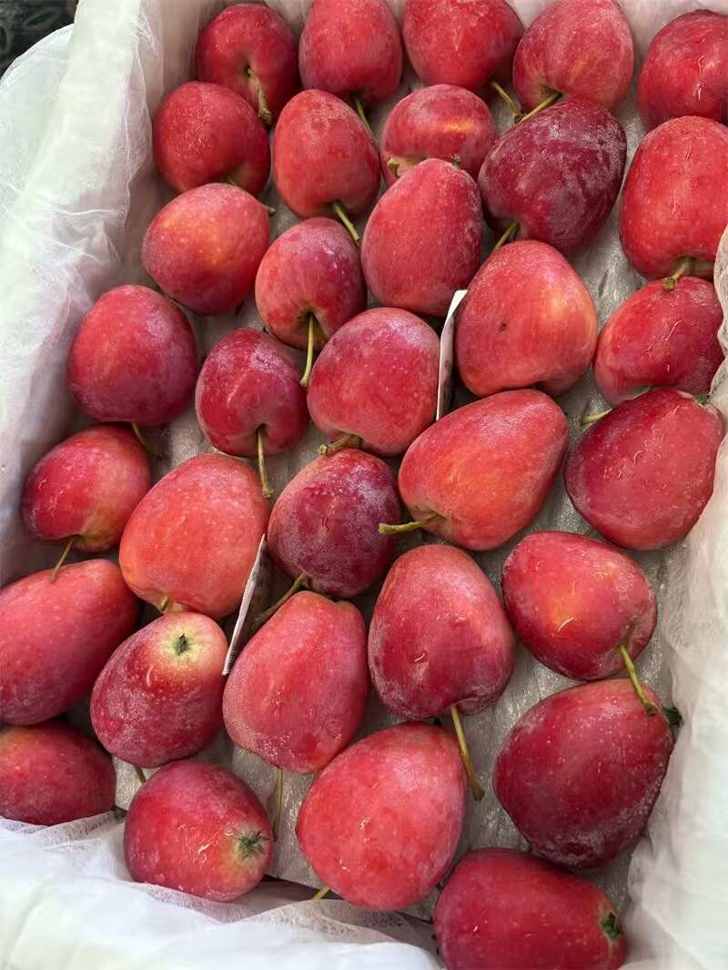 海棠果，畅销全国，基地直发，欢迎对接，联系我看货