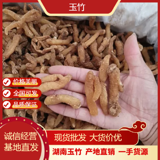 亳州湖南玉竹个 一手货源 量大价优