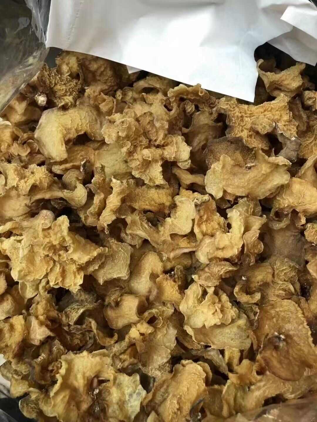 四川金堂羊肚耳食用菌产地直销支持代发农残检测可开发票