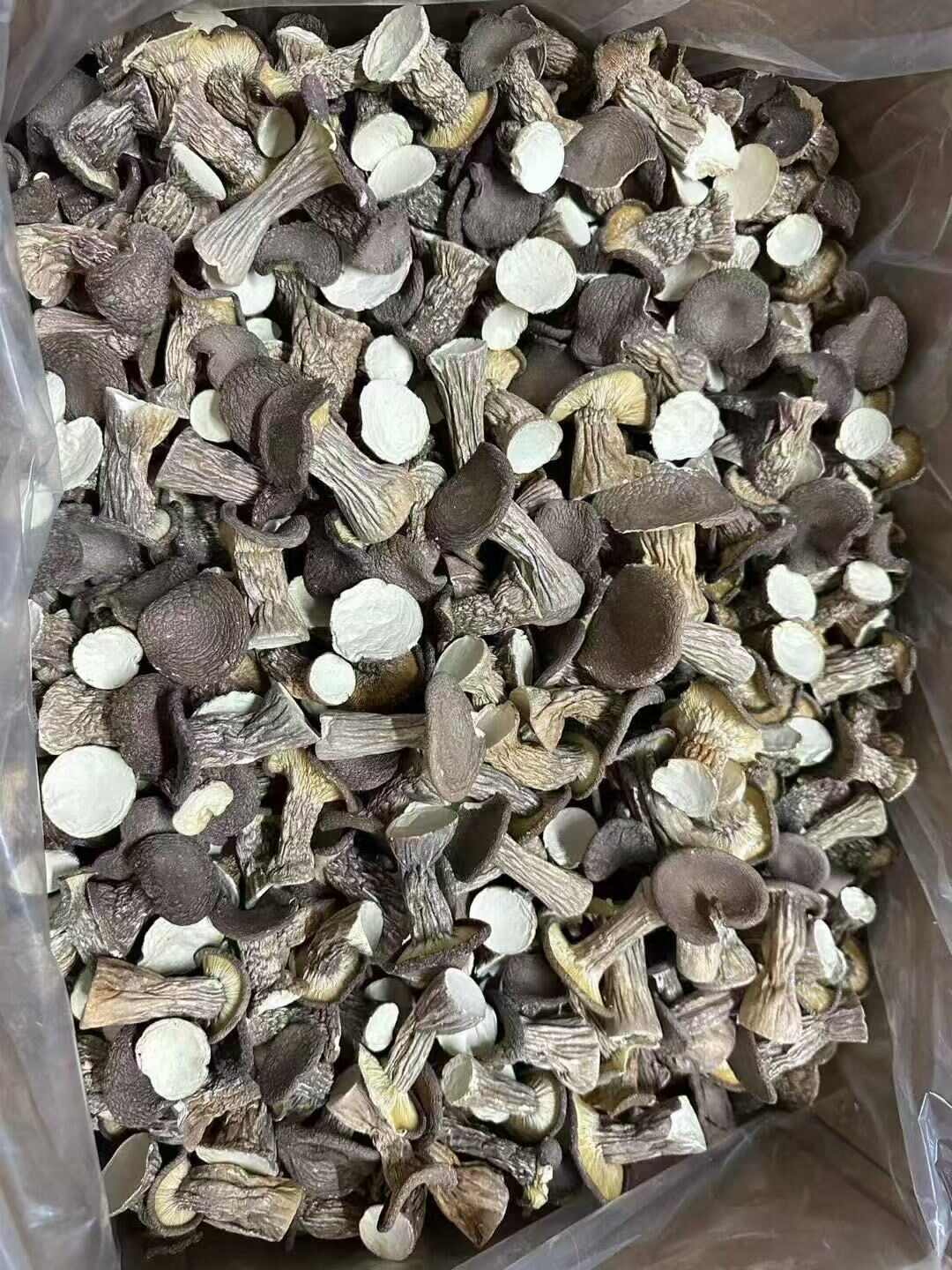 虎奶菇干品批发，规格多样，诚信经营欢迎来电对接