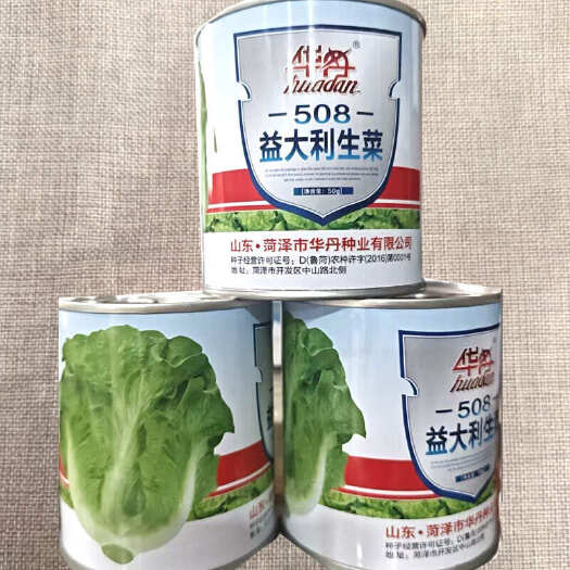 郑州益大利生菜种子爽脆味香耐热耐寒耐抽苔意大利生菜种子