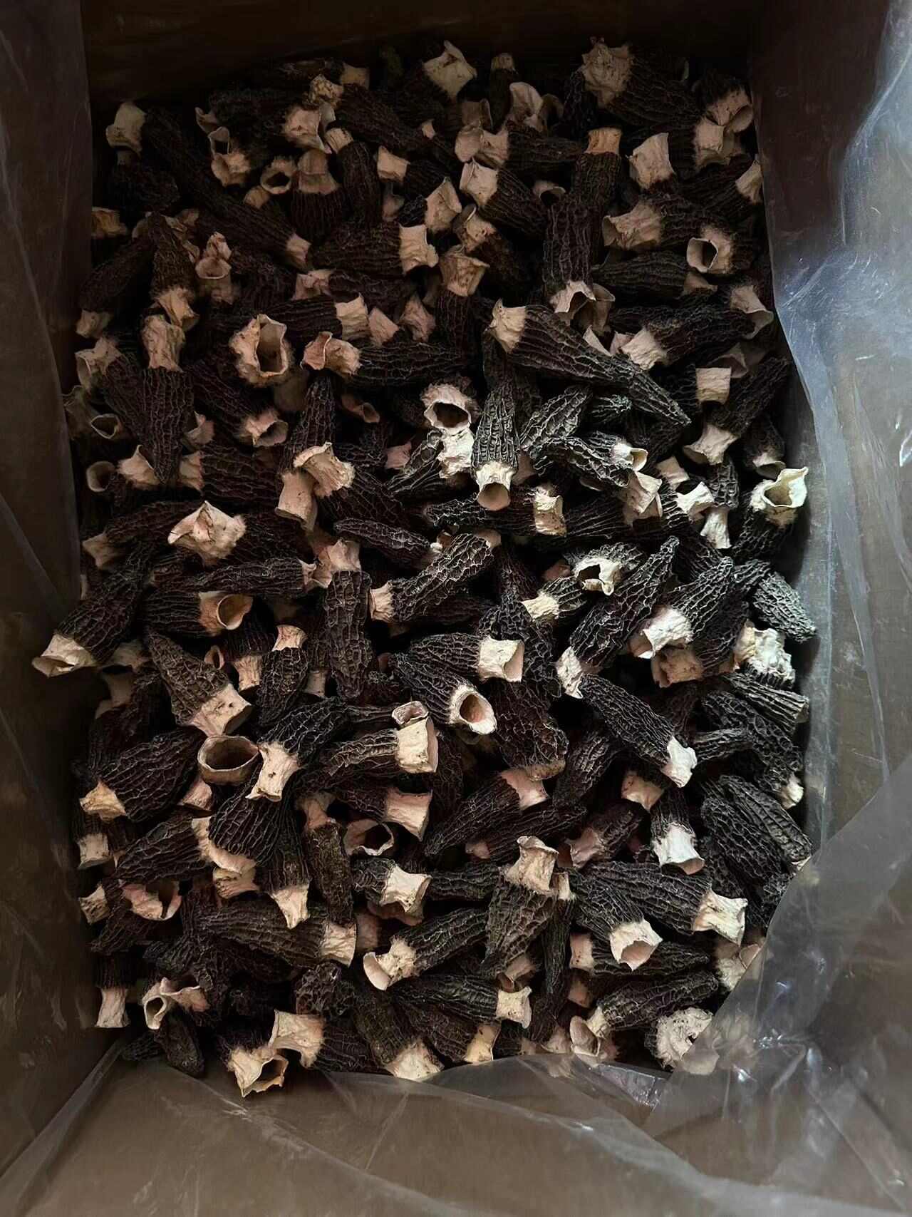 四川金堂人工种植羊肚菌干货，都是今年的新货，我们产区价格美丽