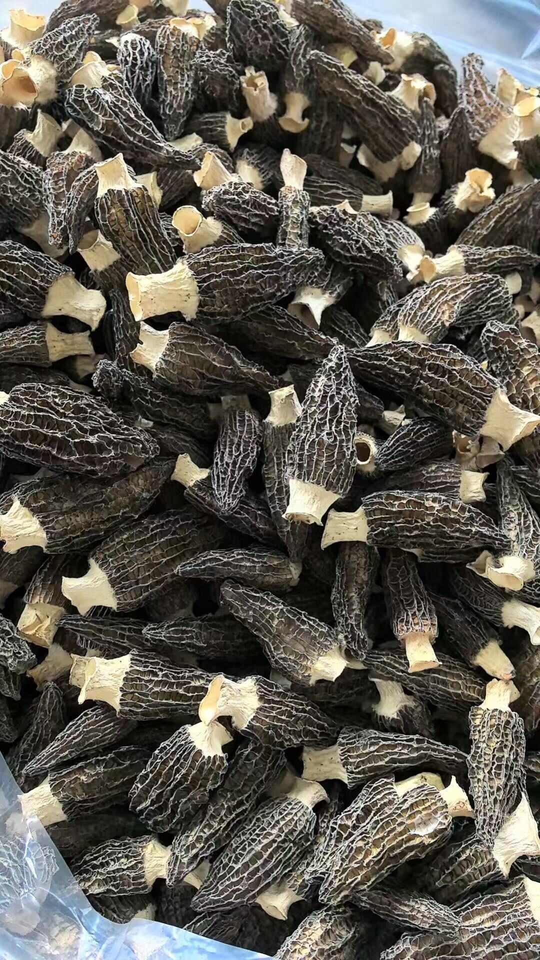 四川金堂人工种植羊肚菌干货，都是今年的新货，我们产区价格美丽