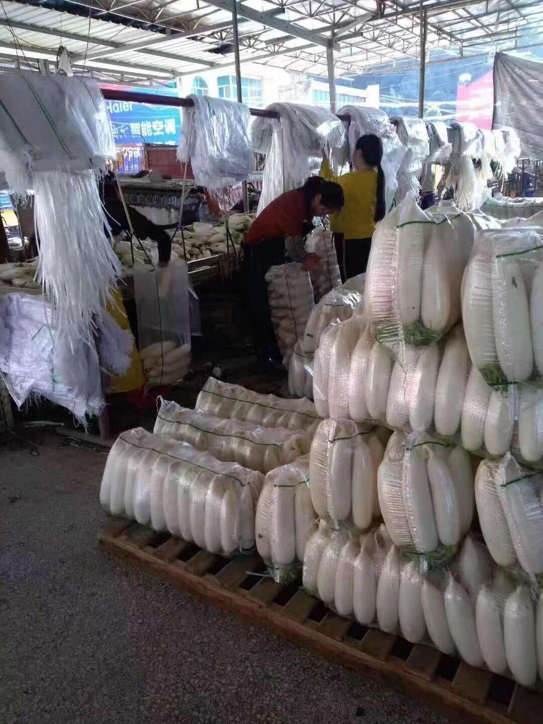 【推荐】湖北万亩基地水洗白萝卜大量供货对接全国市场量大优惠