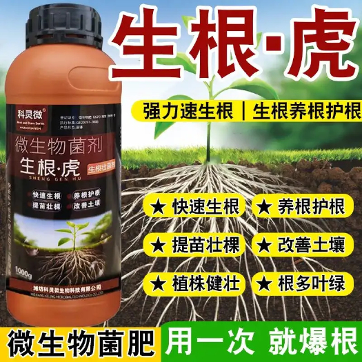 寿光市微生物菌剂生根虎生根原液强力壮苗移栽蔬菜果树花卉快速通用生根