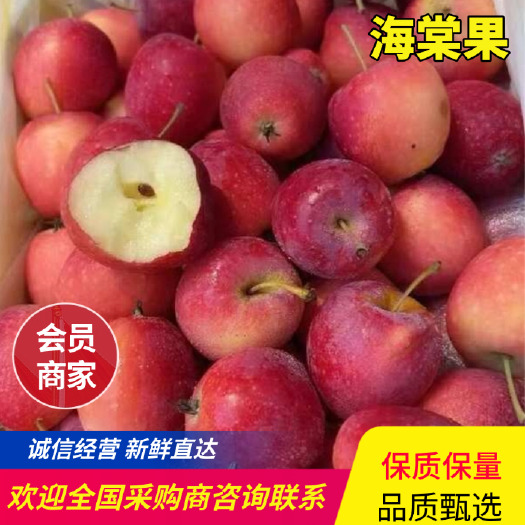 北镇市海棠果，畅销全国，基地直发，欢迎对接，联系我看货