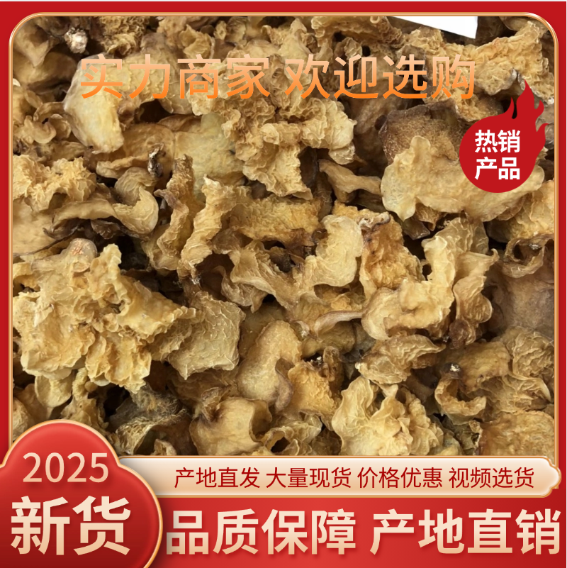 四川金堂羊肚耳食用菌产地直销支持代发农残检测可开发票