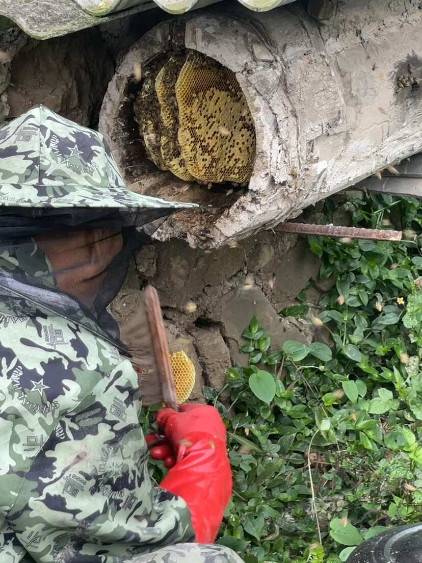 天然土蜂蜜（假一赔十）
