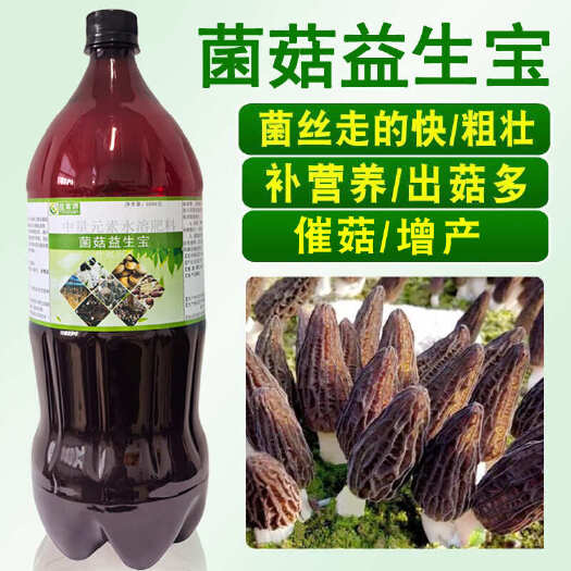 郑州羊肚菌营养液菌菇益生宝羊肚蘑催菇生长素菌菇营养液肥料