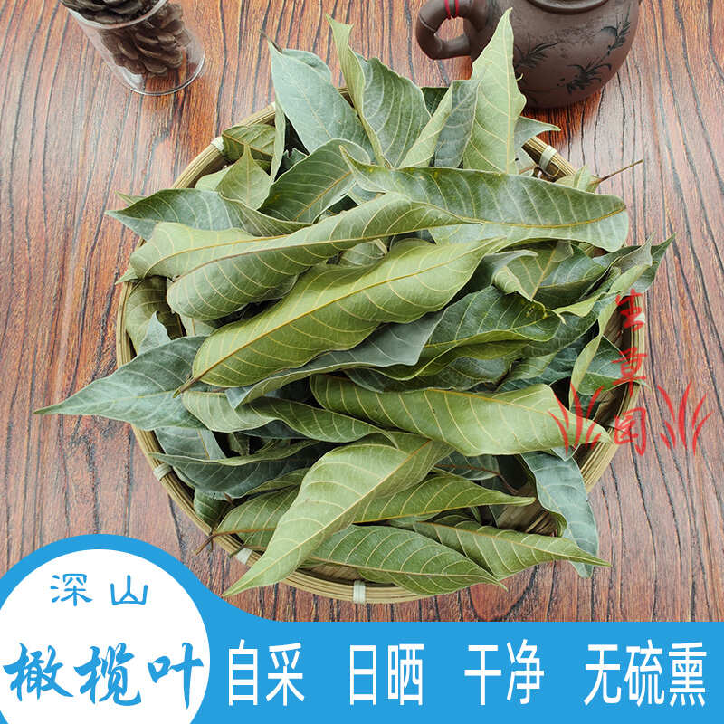 橄榄叶 中药材 中草药 原料 批发