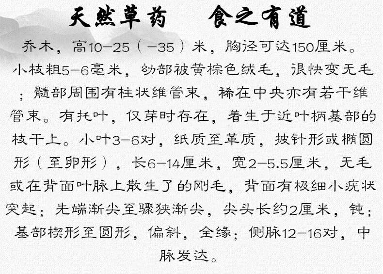 橄榄叶 中药材 中草药 原料 批发