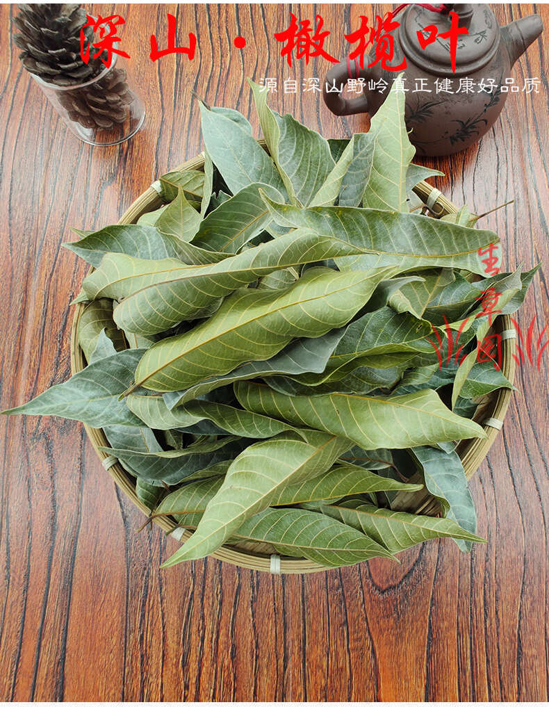 橄榄叶 中药材 中草药 原料 批发