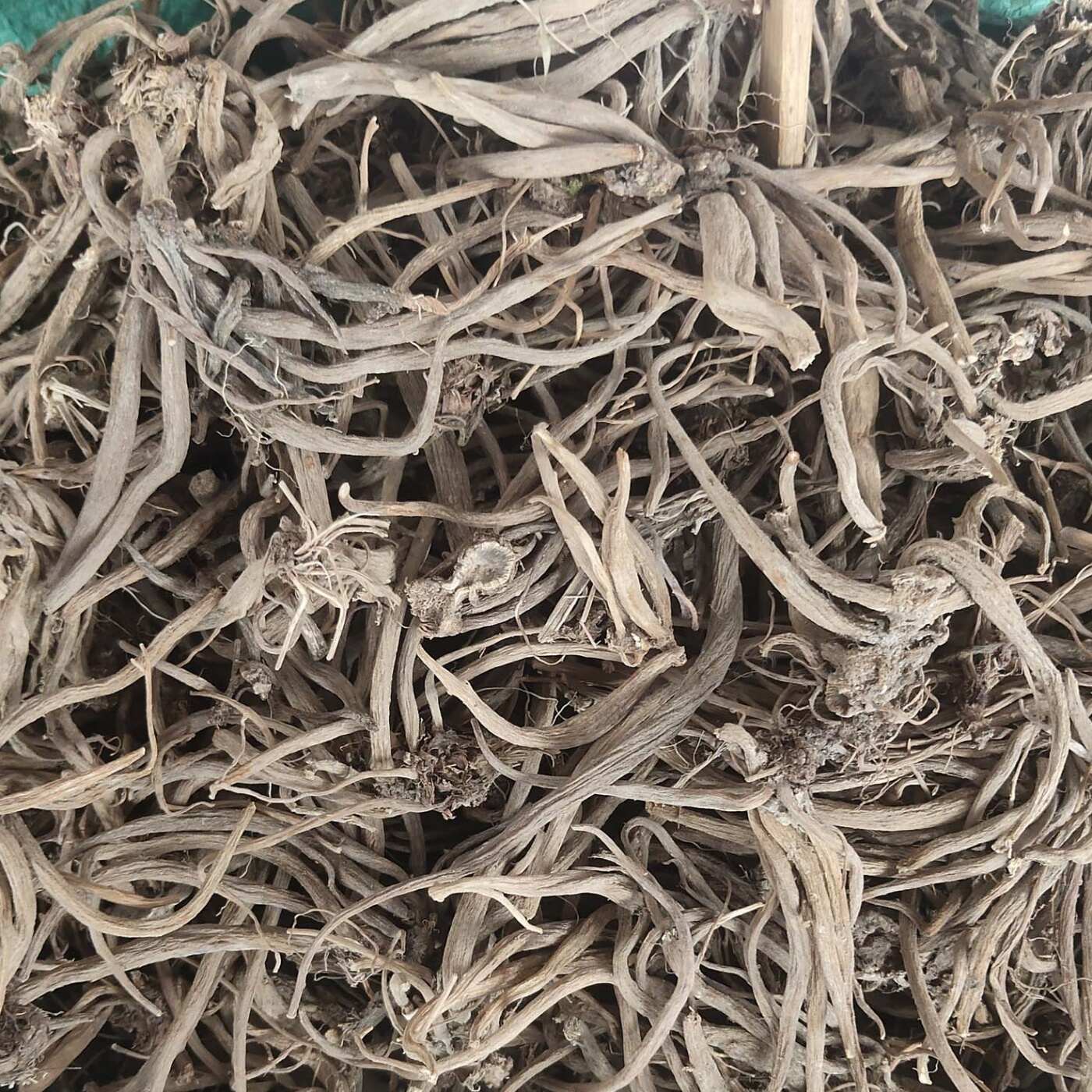 大小计 中药材 大小蓟根 大蓟 刺儿菜 刺角菜 500克 包