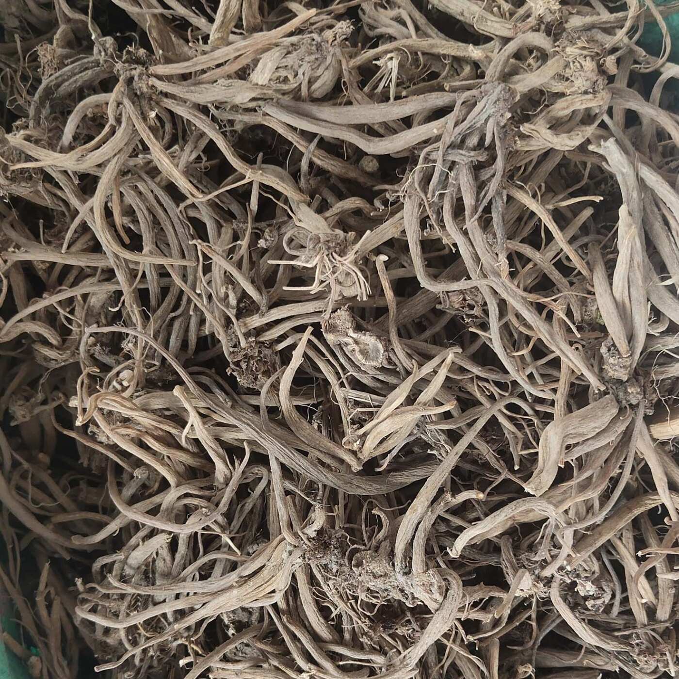 大小计 中药材 大小蓟根 大蓟 刺儿菜 刺角菜 500克 包