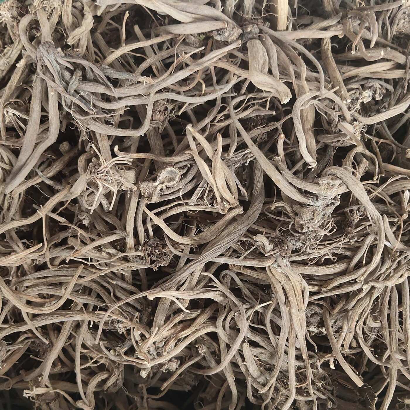 大小计 中药材 大小蓟根 大蓟 刺儿菜 刺角菜 500克 包