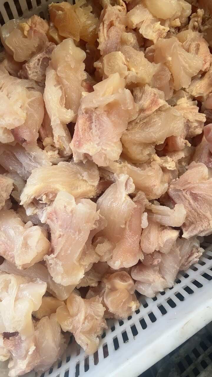 高品质熟腱巴筋精修去油，质量保证，厂家直销，一手货源。
