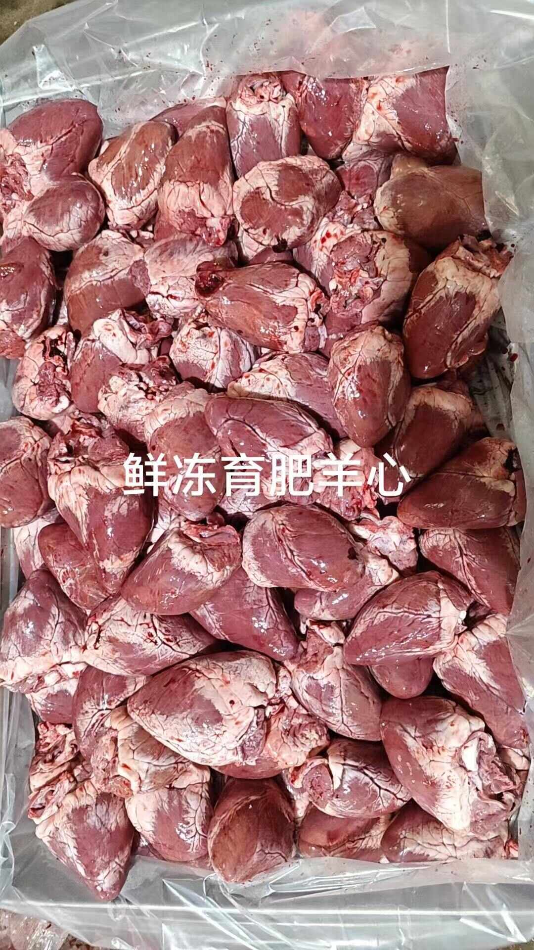 清真新鲜去油生羊心山羊心羊心脏羊杂 源头批发 全国供应