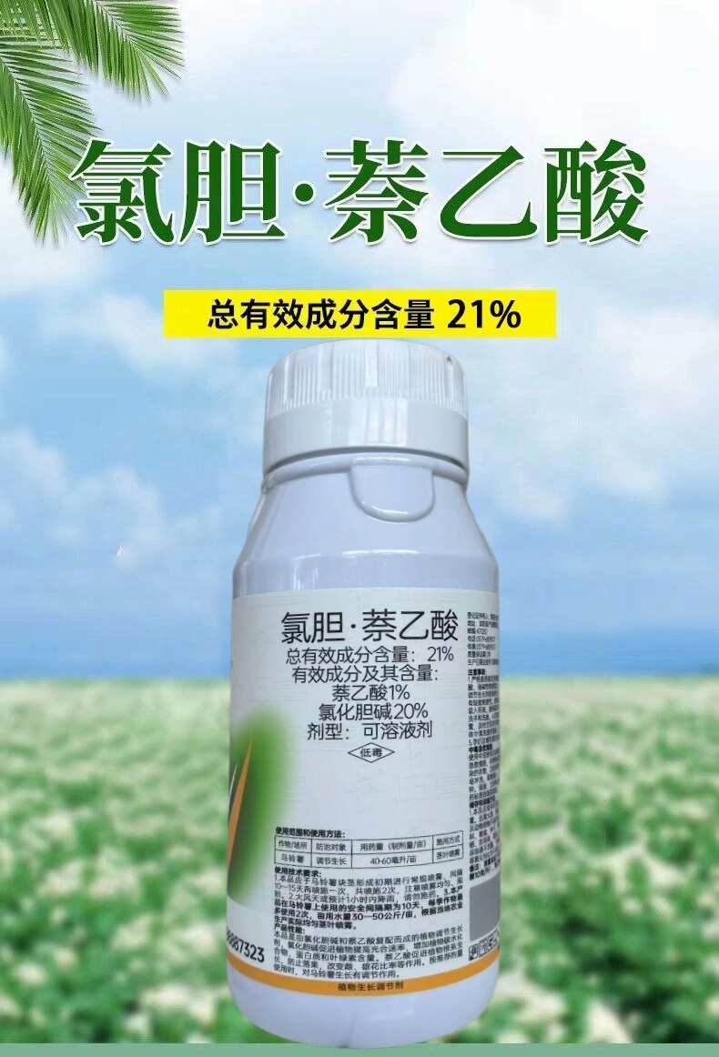 氯胆萘乙酸根茎膨大剂马铃薯葱姜蒜花生洋葱土豆红薯地下块茎膨大