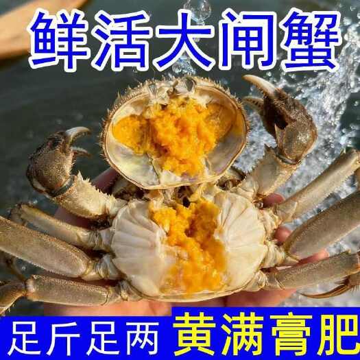兴化市江苏兴化大闸蟹 产地直销 足斤足两