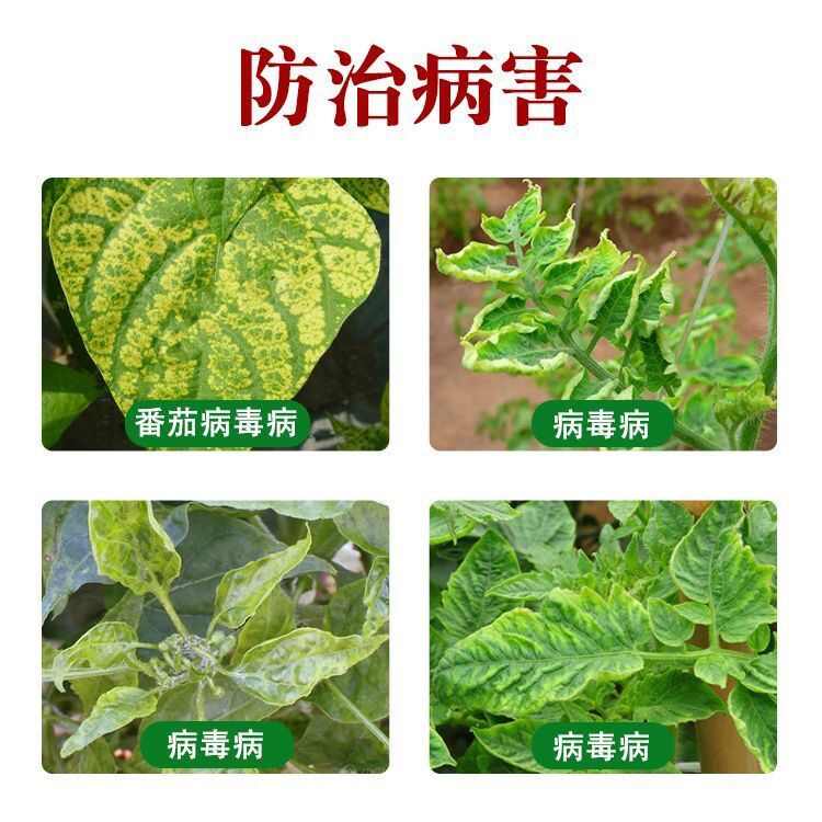 盐酸吗啉胍乙酸铜 吗胍乙酸铜番茄辣椒黄叶花叶病毒病农药杀菌剂